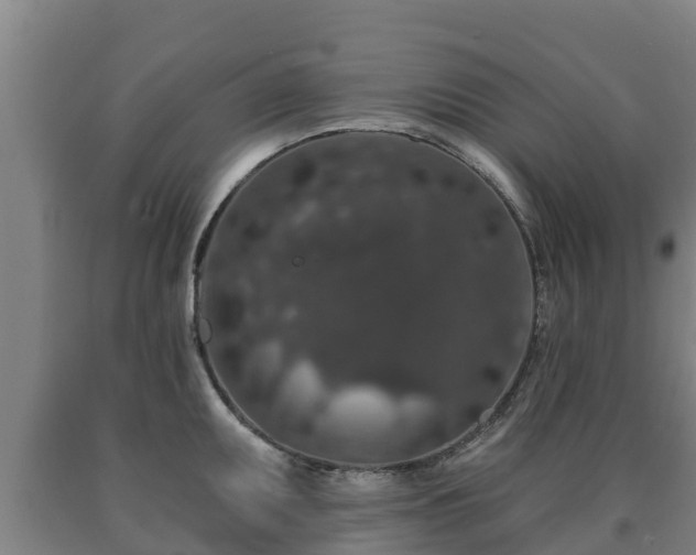 X0000090731095200707271358