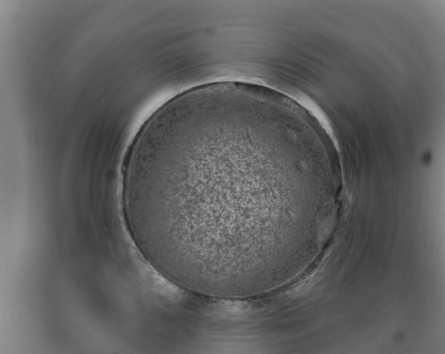 X0000090731096200707271358