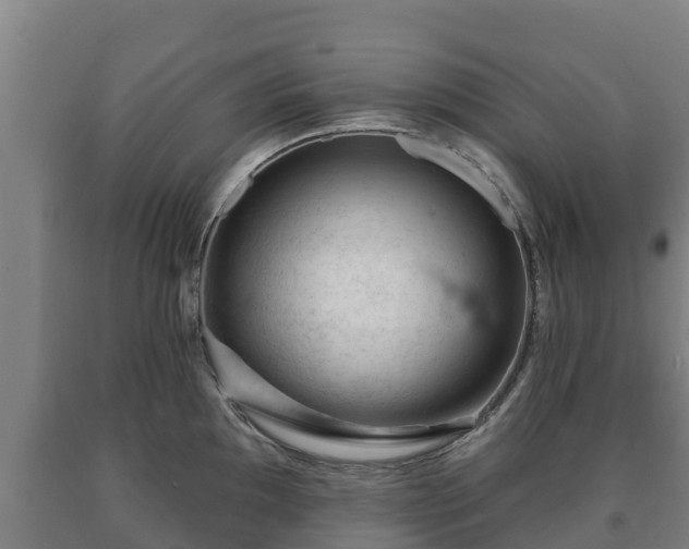 X0000090731097200707271358