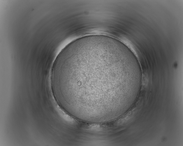 X0000090731098200707271358