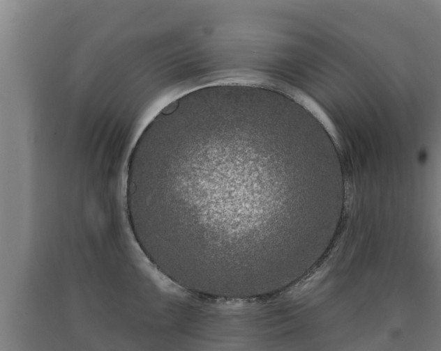 X0000090731099200707271358
