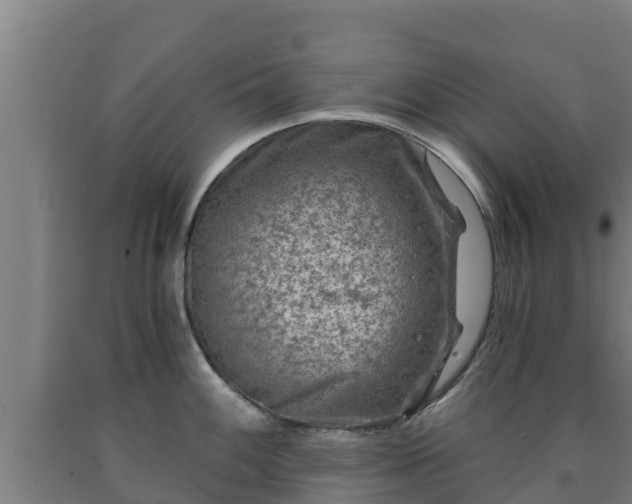 X0000090731100200707271358