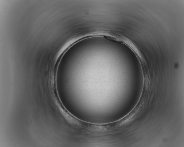 X0000090731101200707271358