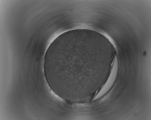 X0000090731102200707271358