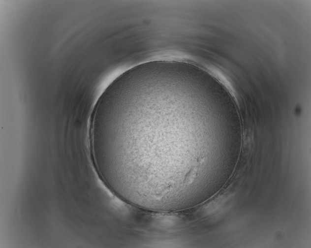 X0000090731103200707271358