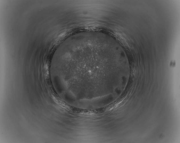 X0000090731106200707271357