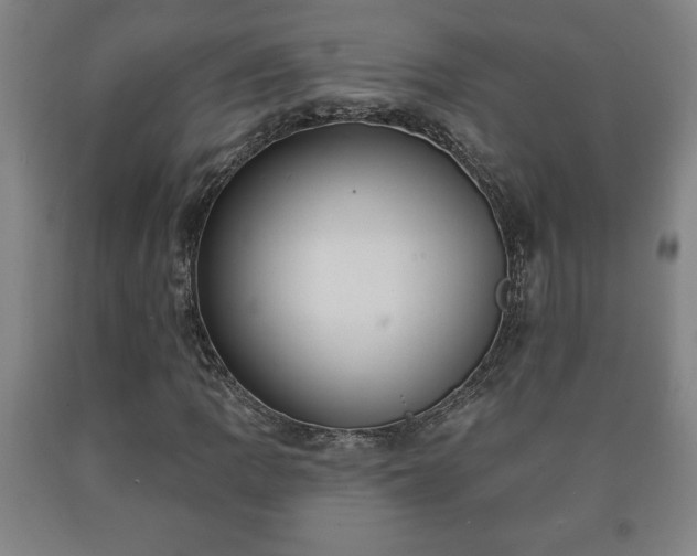X0000090731109200707271357