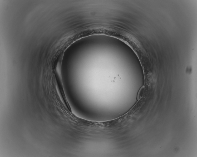 X0000090731111200707271357