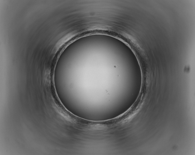 X0000090731113200707271357