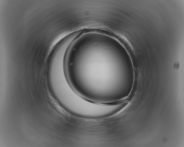 X0000090731114200707271357