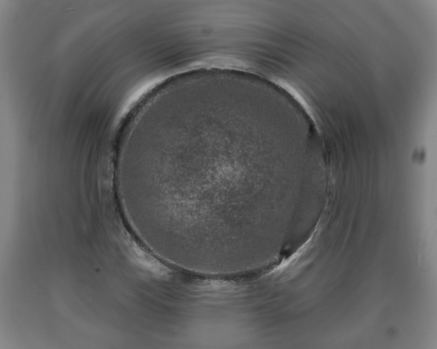 X0000090731115200707271357