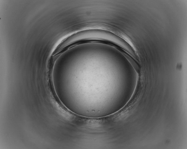 X0000090731116200707271357