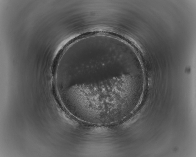 X0000090731117200707271357