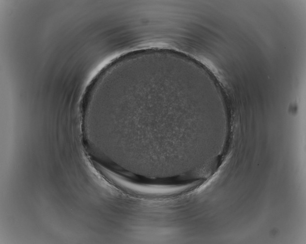 X0000090731118200707271357