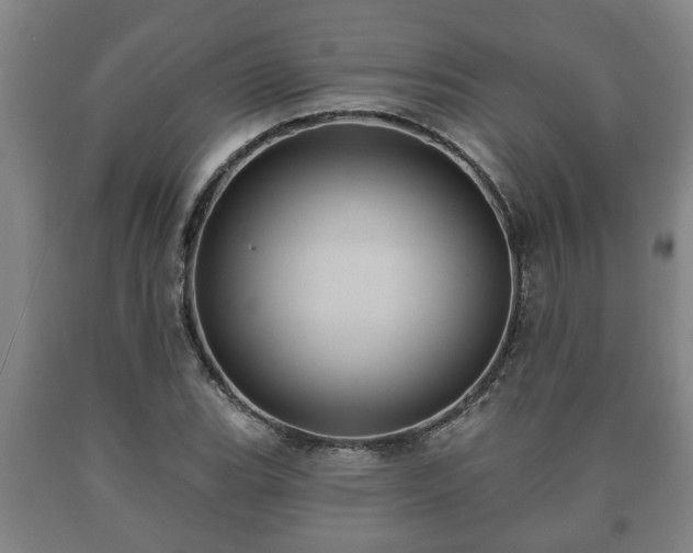 X0000090731119200707271357