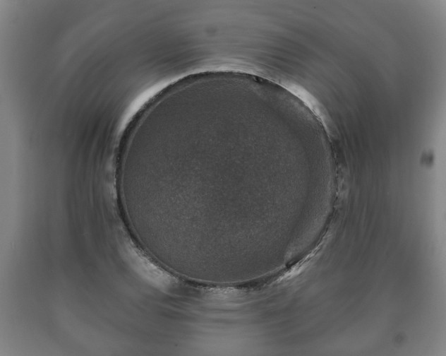 X0000090731120200707271357