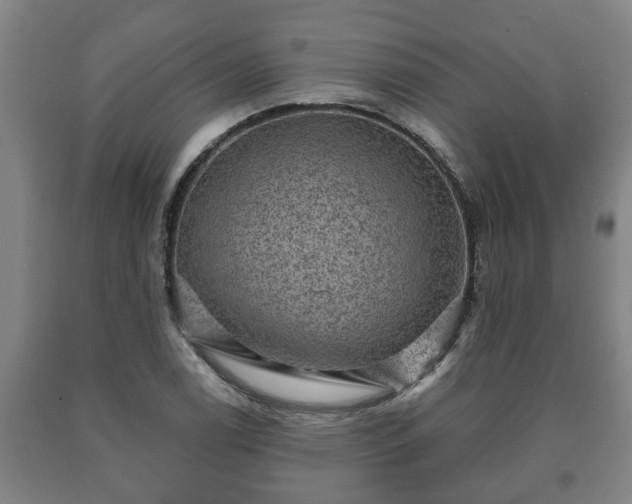 X0000090731122200707271357