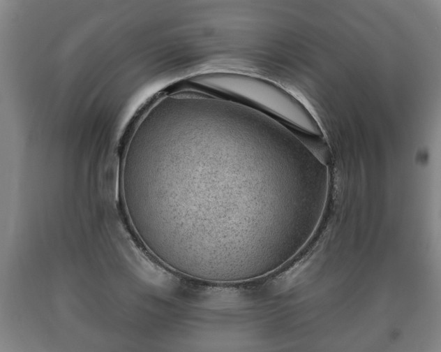 X0000090731123200707271357