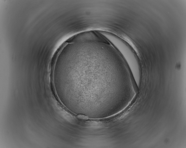 X0000090731124200707271357