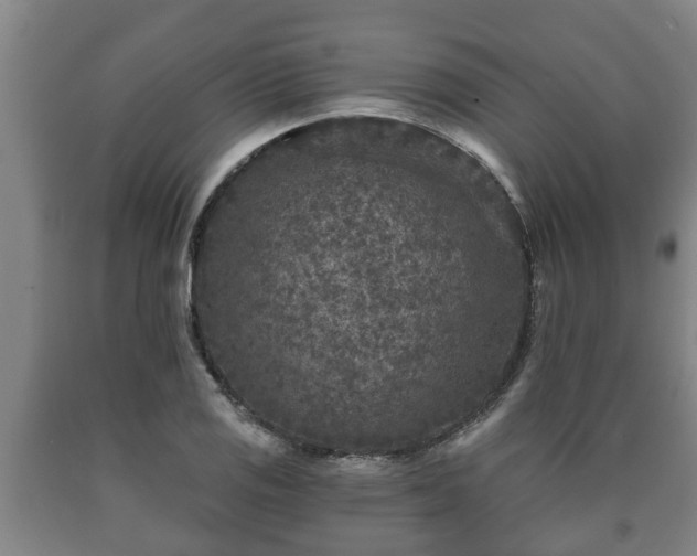 X0000090731125200707271357