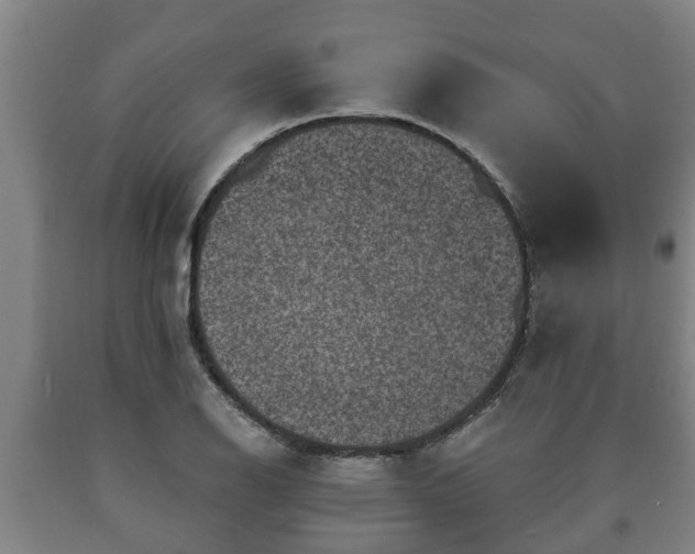 X0000090731126200707271357