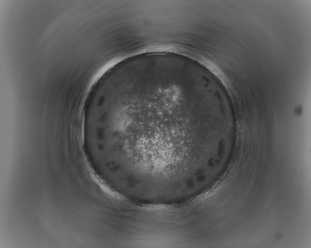 X0000090731127200707271357