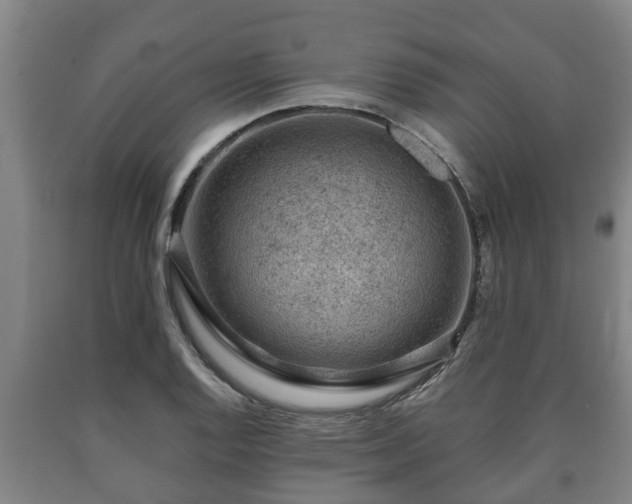 X0000090731128200707271357