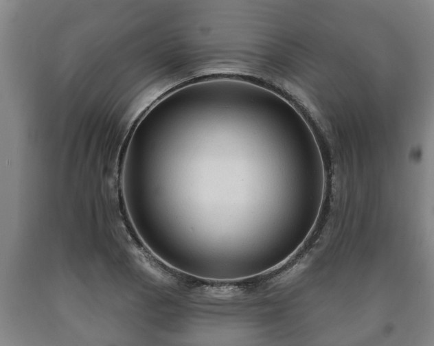 X0000090731129200707271357