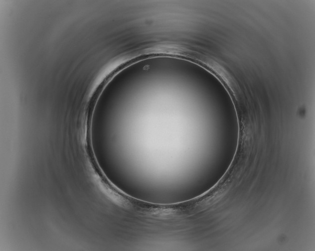 X0000090731131200707271357