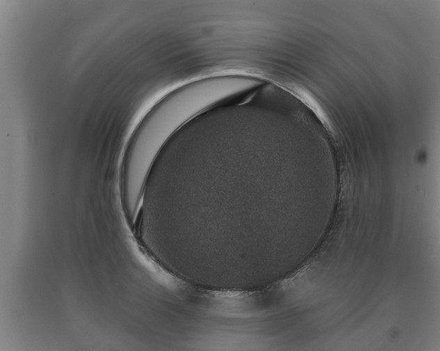 X0000090731132200707271357