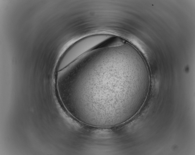 X0000090731133200707271357