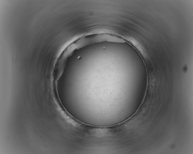 X0000090731134200707271357