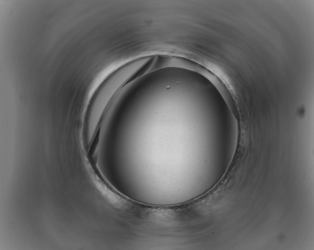 X0000090731136200707271358