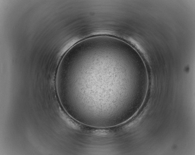 X0000090731137200707271358