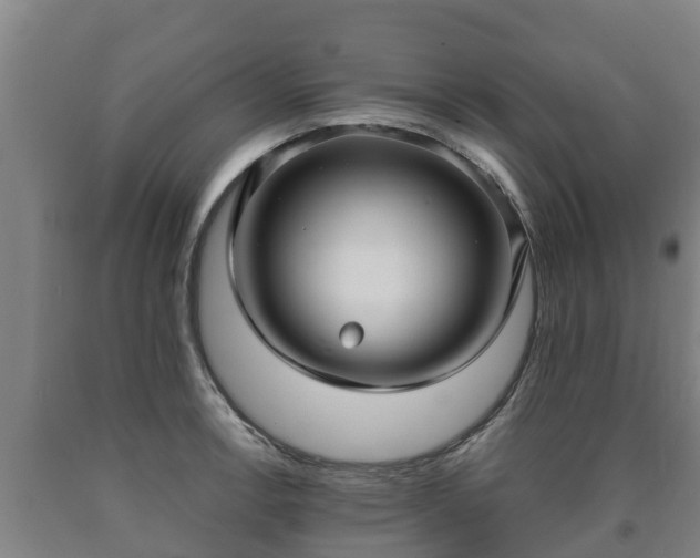 X0000090731138200707271358