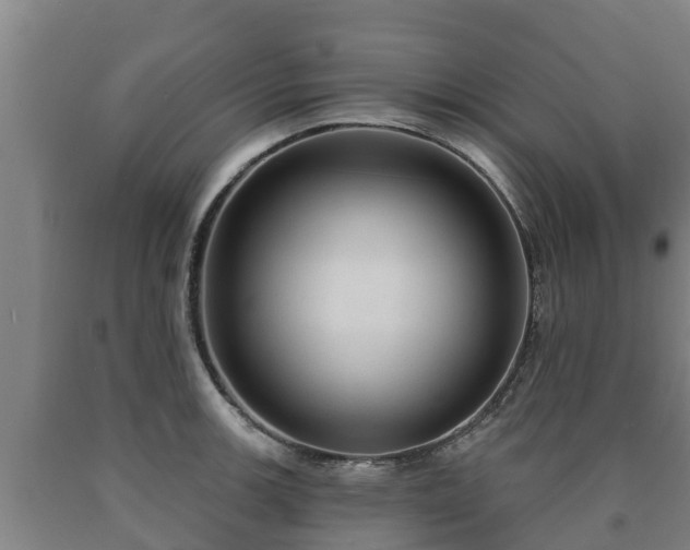 X0000090731139200707271358