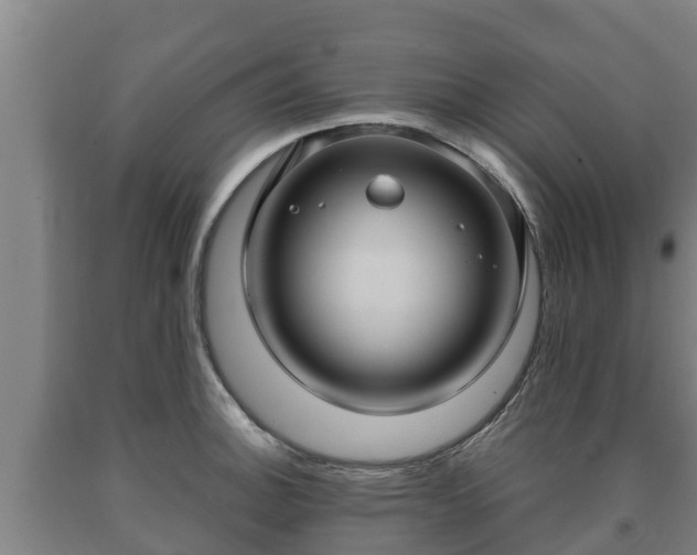 X0000090731140200707271358