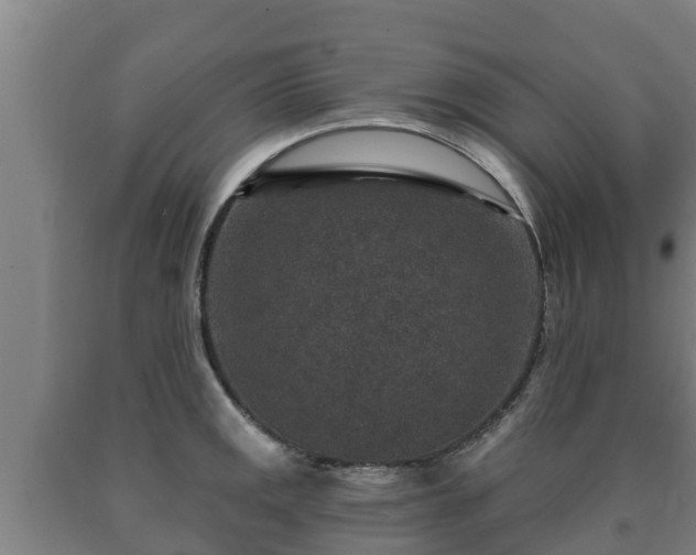 X0000090731141200707271358