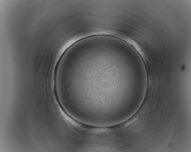 X0000090731143200707271358