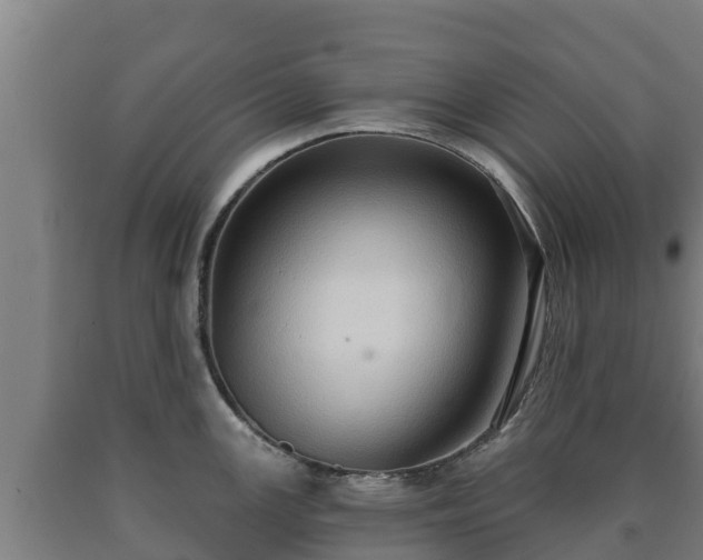 X0000090731147200707271358
