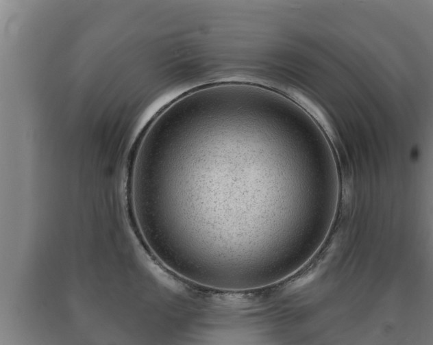 X0000090731149200707271358