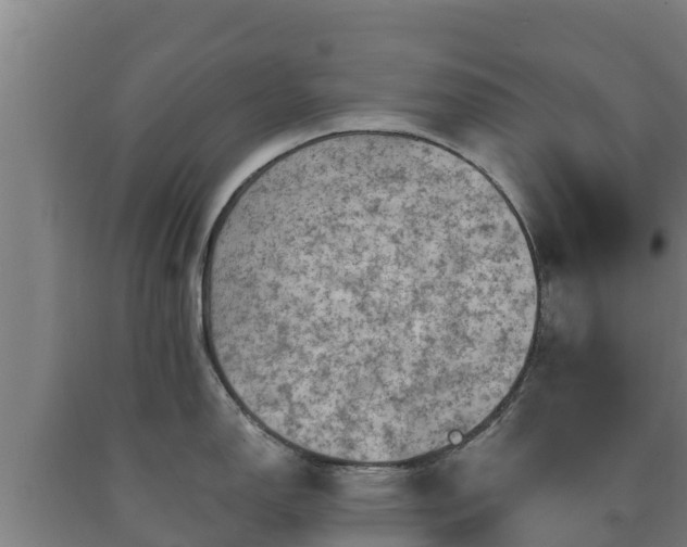 X0000090731150200707271358