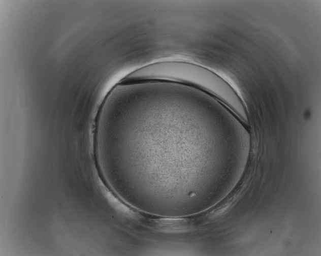 X0000090731151200707271358