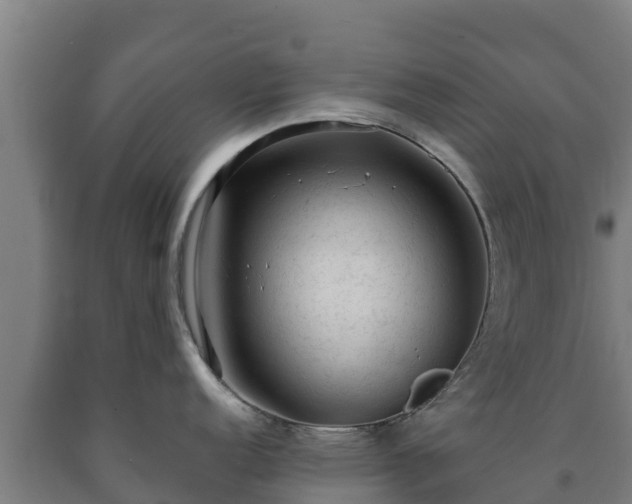 X0000090731152200707271358