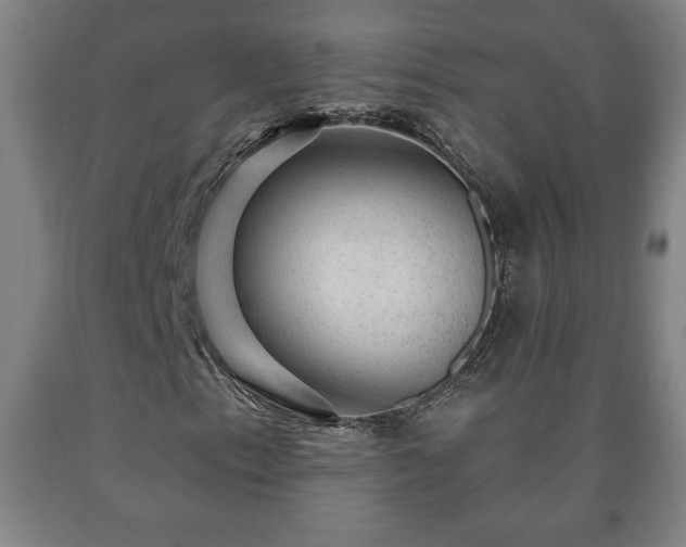 X0000090731153200707271357