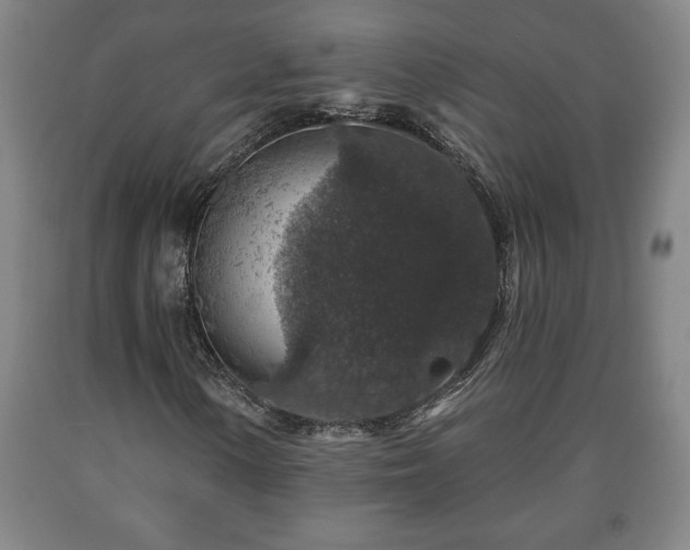 X0000090731154200707271357