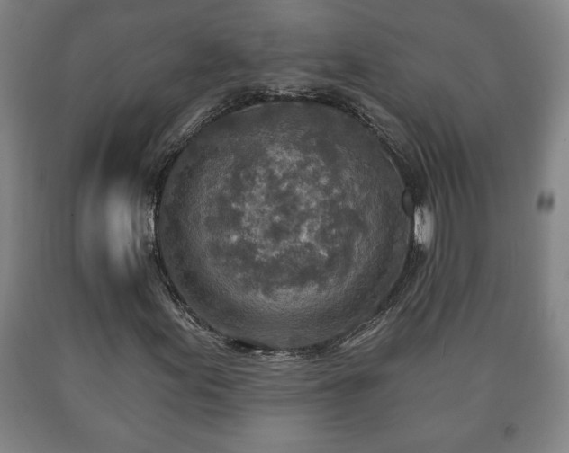 X0000090731155200707271357