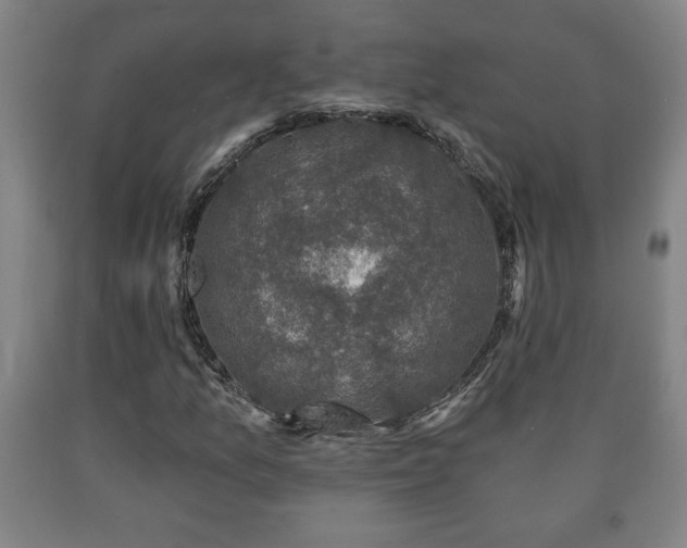 X0000090731157200707271357