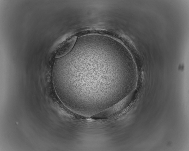 X0000090731159200707271357