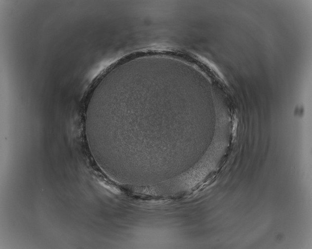 X0000090731160200707271357